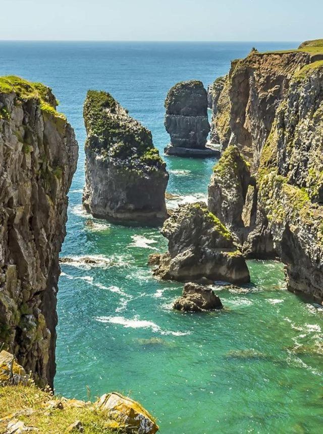 Willow Lodge, Wolfscastle Хаверфордуэст Экстерьер фото